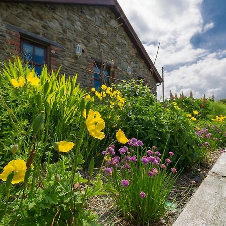 Tyn Rhos Country House Caernarfon Ngoại thất bức ảnh