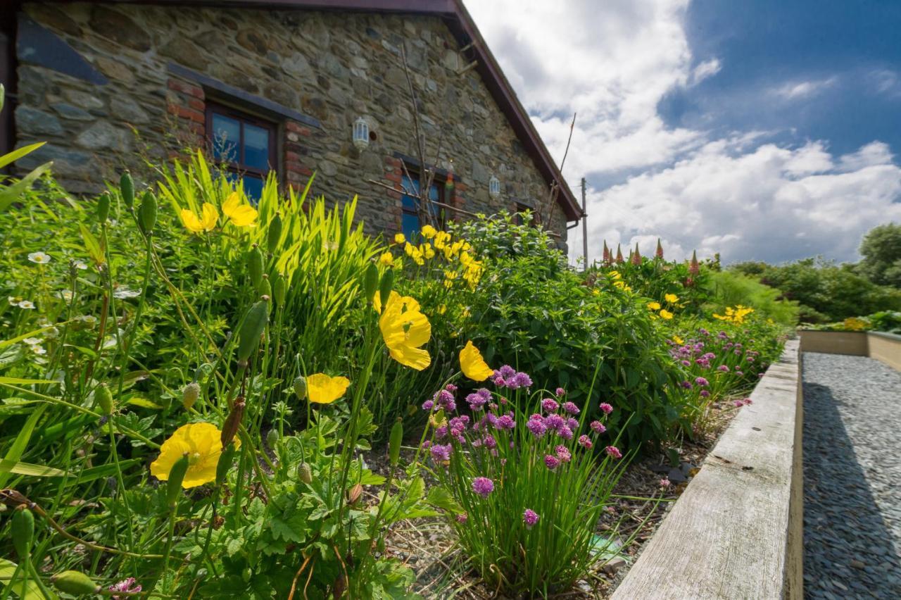 Tyn Rhos Country House Caernarfon Ngoại thất bức ảnh